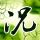 《AC起源》CPU负载高是因多重反盗版措施？育碧否认